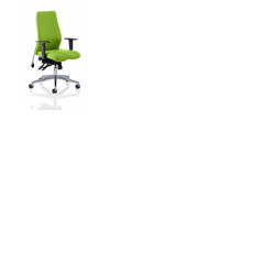 Onyx Posture Chair Myrrh Green Fabric