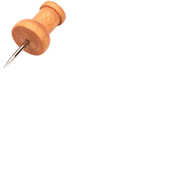 Earth Wood Push Pins pack 20