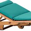 Alexander Rose Polyester Sun Lounger Cushion