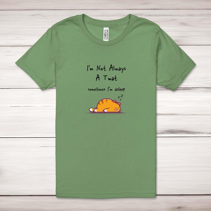 I'm Not Always A .... Sometimes I'm Asleep Adult T