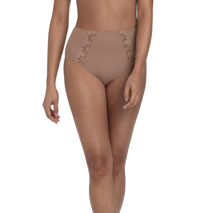 Anita Sophia High Waist Brief