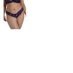 Playful Promises Noriko Brief