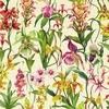 Harlequin Kalina Wallpaper Parchment / Forest / Azalea HC4W113009