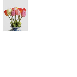 Assorted Mixed Colour Tulip Stems