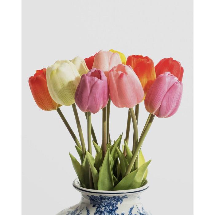 Assorted Mixed Colour Tulip Stems