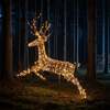Christmas Reindeer Lights