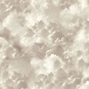 Vanilla Skies Wallpaper Neutral Arthouse 100189AH