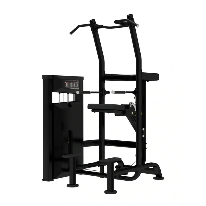 Platinum Series, Assisted Chin