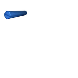 Gym Gear Foam Roller