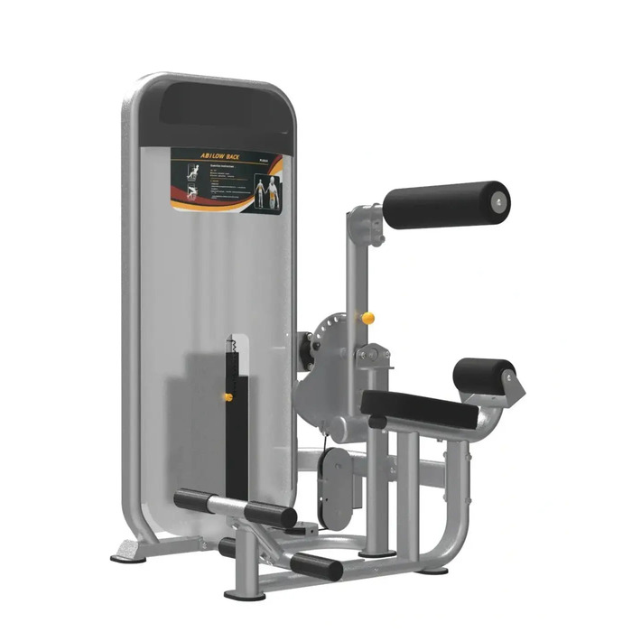 Gym Gear Dual Series Ab Low Back