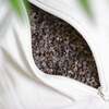 Yoga Mad Mini Buckwheat Yoga Bolster in Graphite