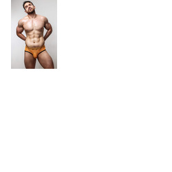 Sukrew Sheer Shock APEX Brief