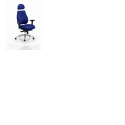 Chiro Plus 'Ergo' Posture Chair with Arms and Headrest Stevia Blue