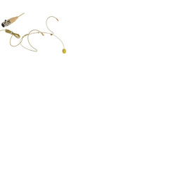 Proel HCM23AK Beige Headset Mic With 3 Pin Mini XLR