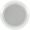 5. 25" Ceiling Speaker with Fire dome