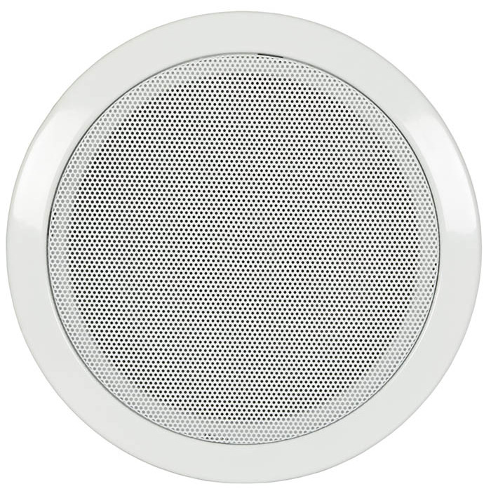 5. 25" Ceiling Speaker with Fire dome