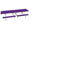 Mobile Folding Bench/Table Unit