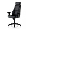 Winsor Executive Leather Chair