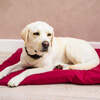 Dog Bed Duvet & Dog Bed Duvet Cover Med/Lge Polycotton Mulberry