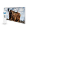 595X995 Highland Pride Picture Nexus Wi-Fi Infrared Heating Panel 580W - Electric Wall Panel Heater