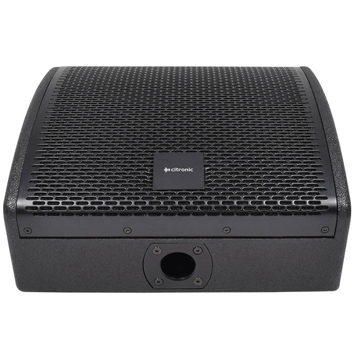 10" Wedge Monitor Passive 250 Watts RMS 8 Ohm