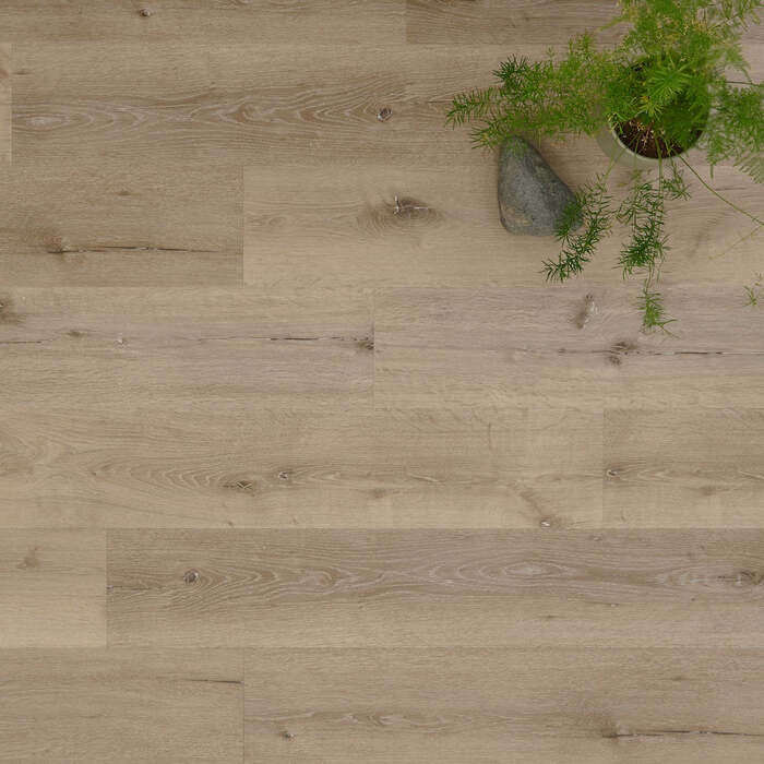Lusso Portofino Featured Spruce Glue Down LVT Vinyl Flooring