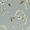 Harlequin Amazilia Hummingbird Wallpaper French Grey and Stone HTEW112605