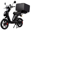 Eskuta SX-250 Series 4 Cargo Electric Bike