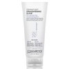 Giovanni Eco Chic Straight Fast Straightening Elixir