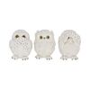 Nemesis Now Three Wise Owls Figurines