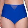 Curvy Kate Sheer Class High Waist Bikini Brief