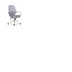 Ariel Mesh Task Chair