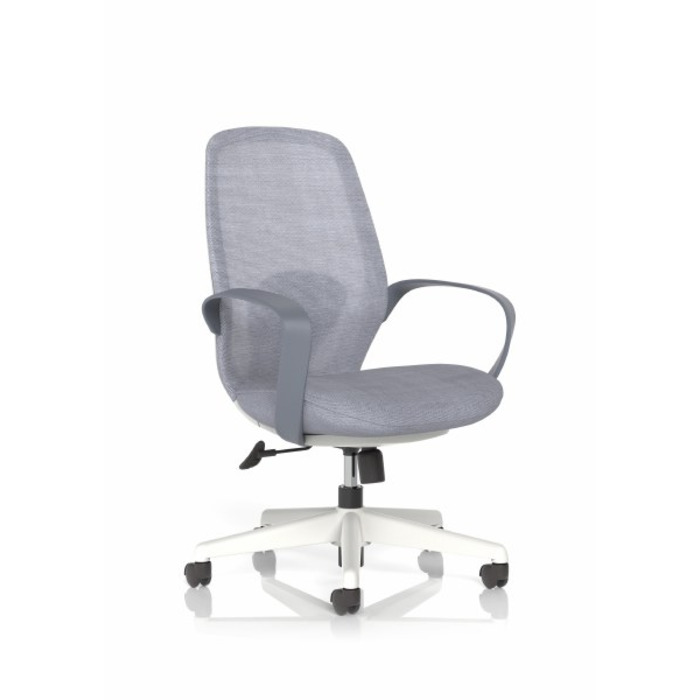 Ariel Mesh Task Chair