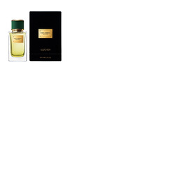 Dolce & Gabbana Velvet Vetiver Eau De Parfum 100ml Spray