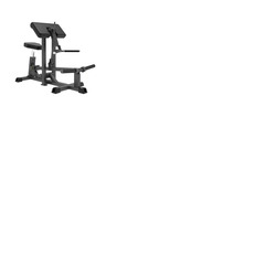 Pro Series Plate Loaded, Bicep Curl UK Delivery
