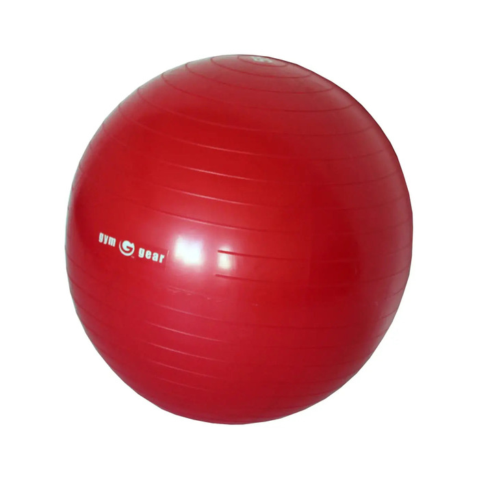 Gym Gear Gym Ball