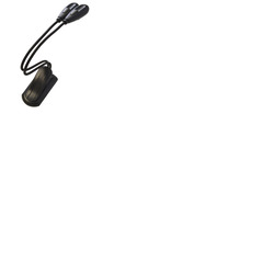 Clip On Light with Dual LED Lights