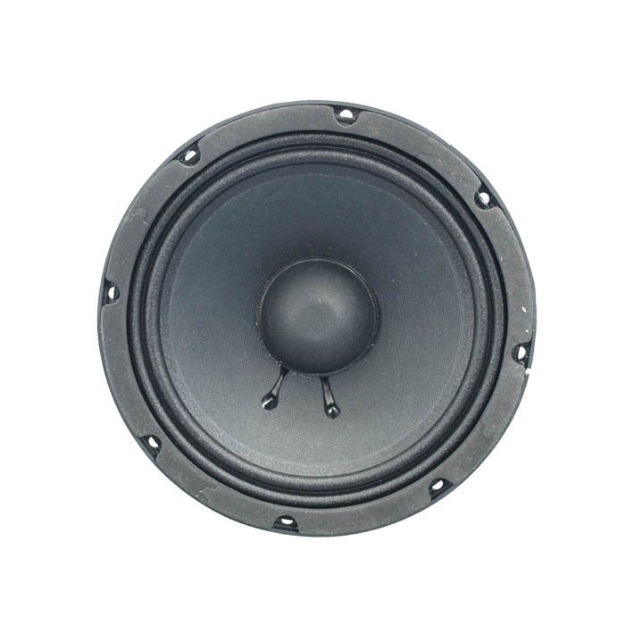 100 Watt Bass Speaker Driver 8"