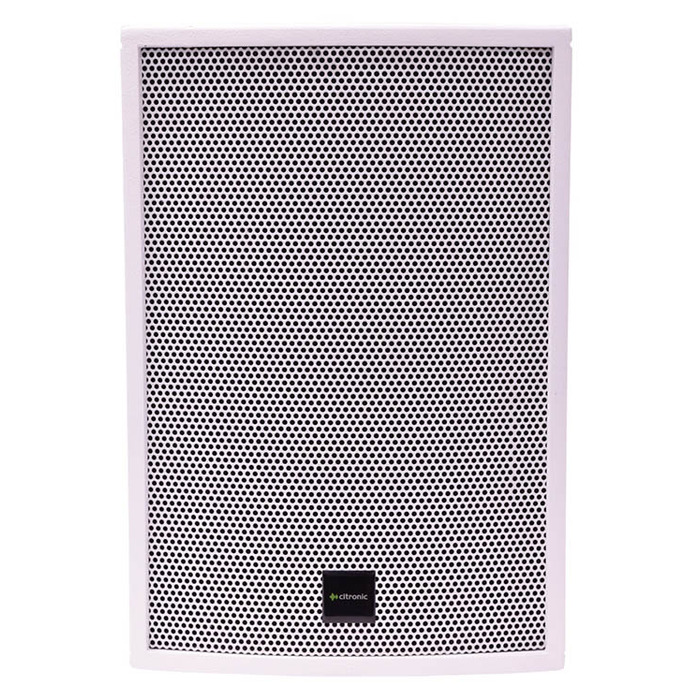 Wooden Installation Speaker White 10"