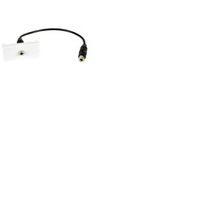 3. 5mm Stereo Jack to Female Tail Module Wall Plate