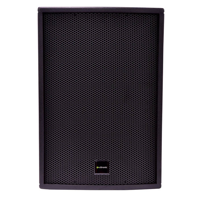 Wooden Installation Speaker Black 10"
