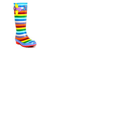 Evercreatures Rainbow Tall Wellies