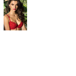 Lise Charmel Dressing Floral Contour Bra
