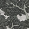 Harlequin Eternal Oak Wallpaper Ebony / First Light HC4W113040