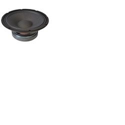10" Speaker Driver 250 Watt 8 Ohm Full Range Chassis Speaker