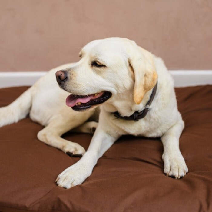 Dog Bed Duvet & Dog Bed Duvet Cover Med-Lge Chocolate