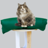 Cat Bed Mattress & Green Cover