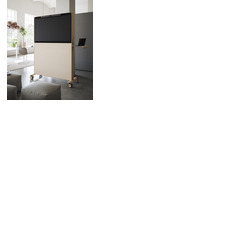 Agile Mobile Media Display