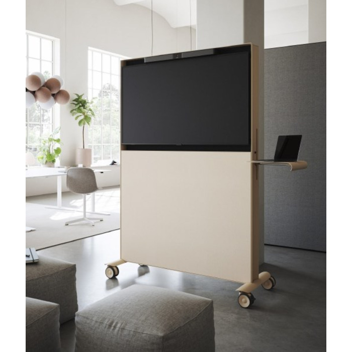 Agile Mobile Media Display