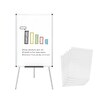 Economy Flipchart Whiteboard Easel